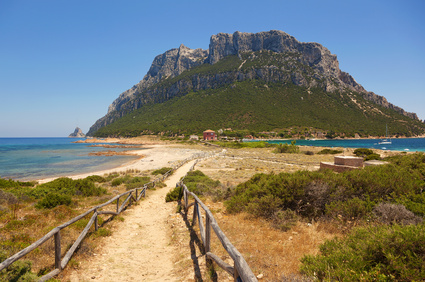 Isola Tavolara (Sardinien)